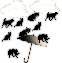 It’s raining cats and dogs