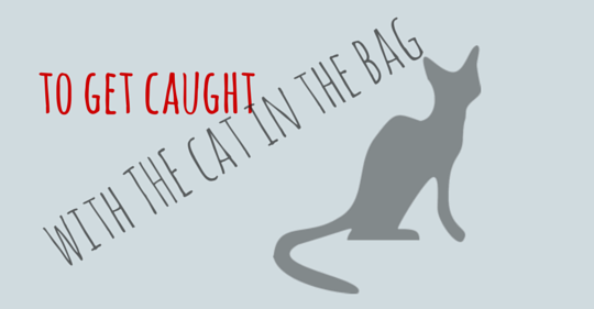 to get caught with a cat in the bag