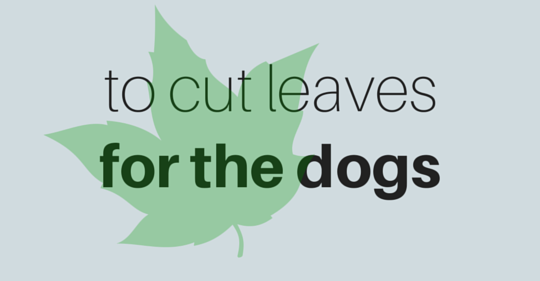 to cut leaves for the dogs